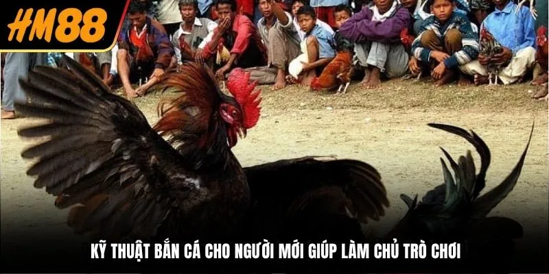 Đá gà Bắc Ninh luôn thu hút đông đảo người xem