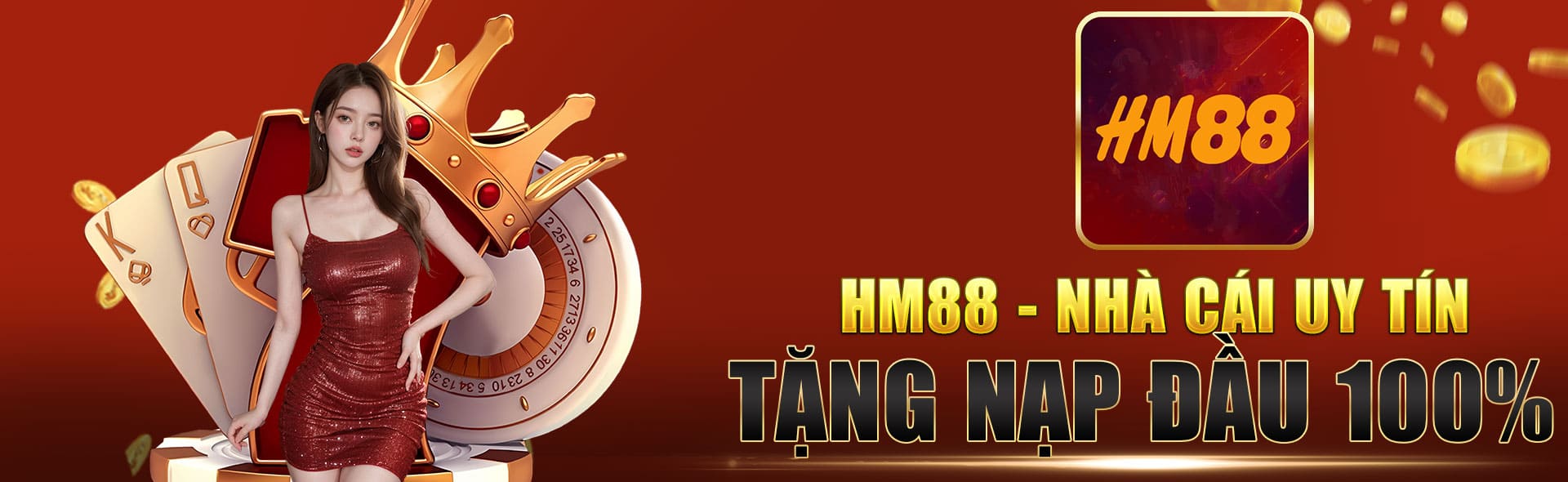 banner hm88